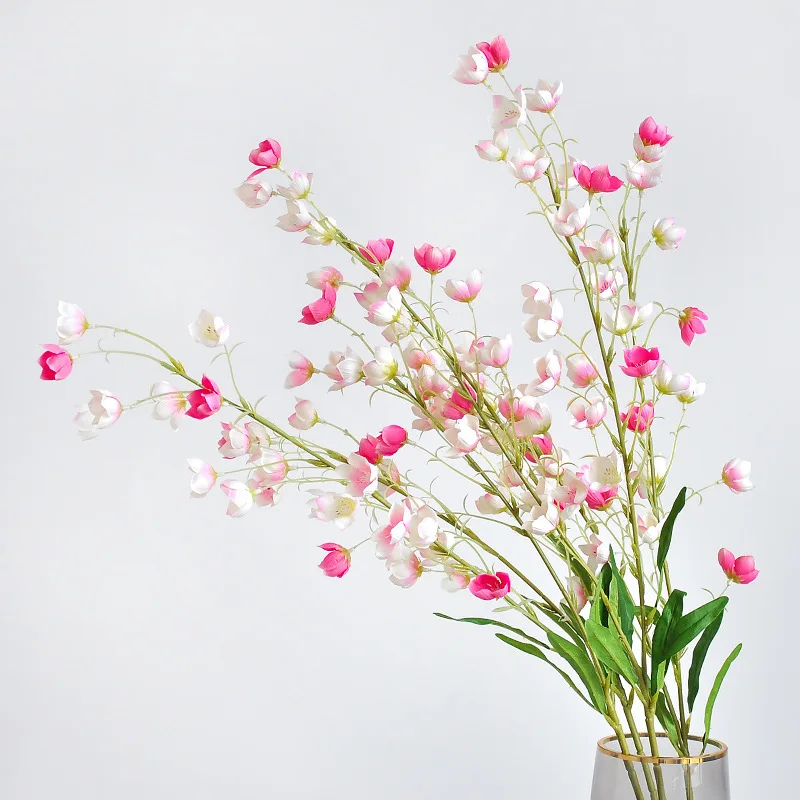 Sustainable Living Guide - 95 CM 2 Gevorkte Bel Orchidee
