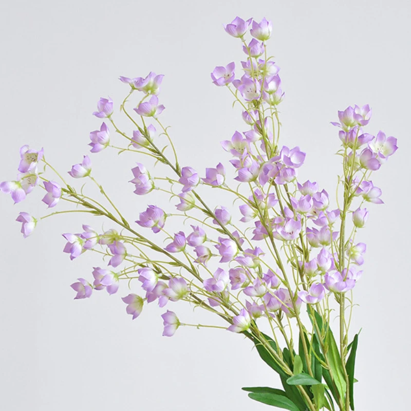 95 CM 2 Gevorkte Bel Orchidee  - Sustainable Living Guide recensie en prijs